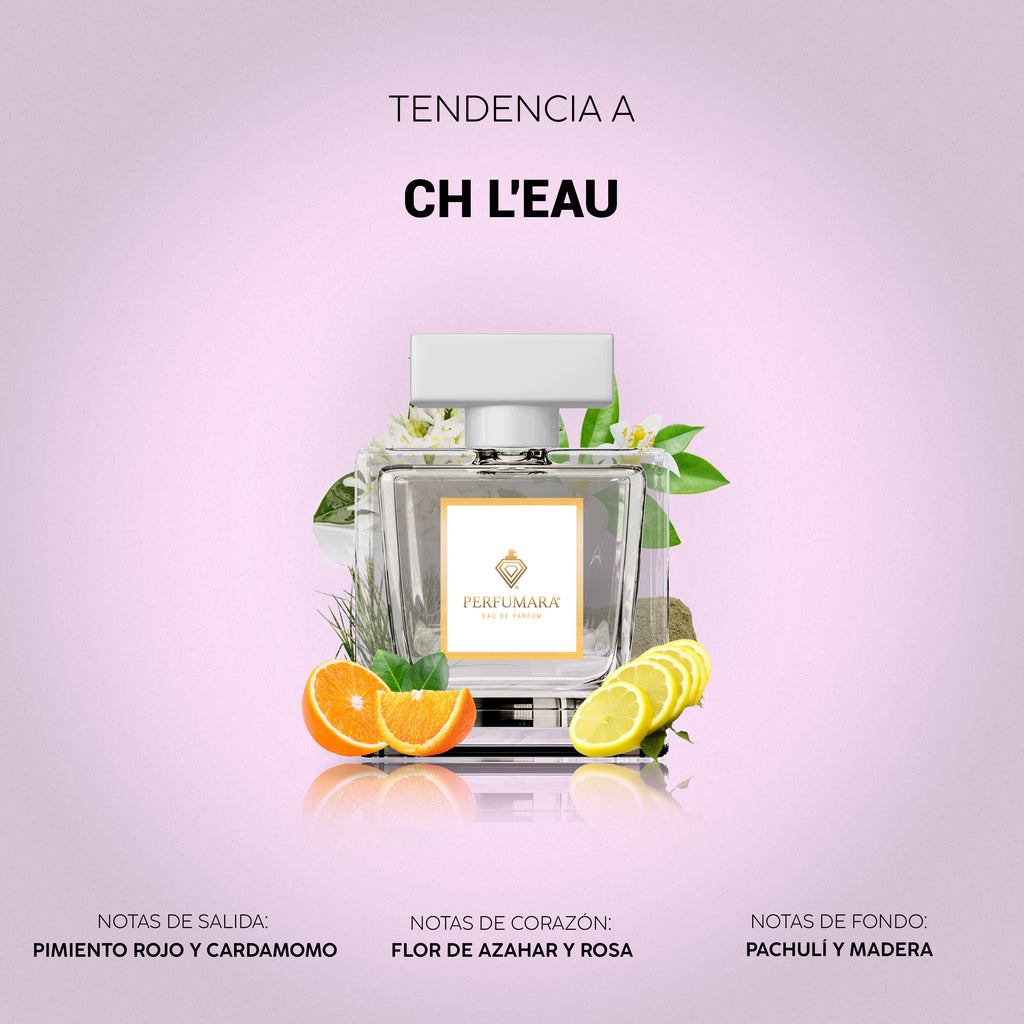 Tendencia a DCH LÉau