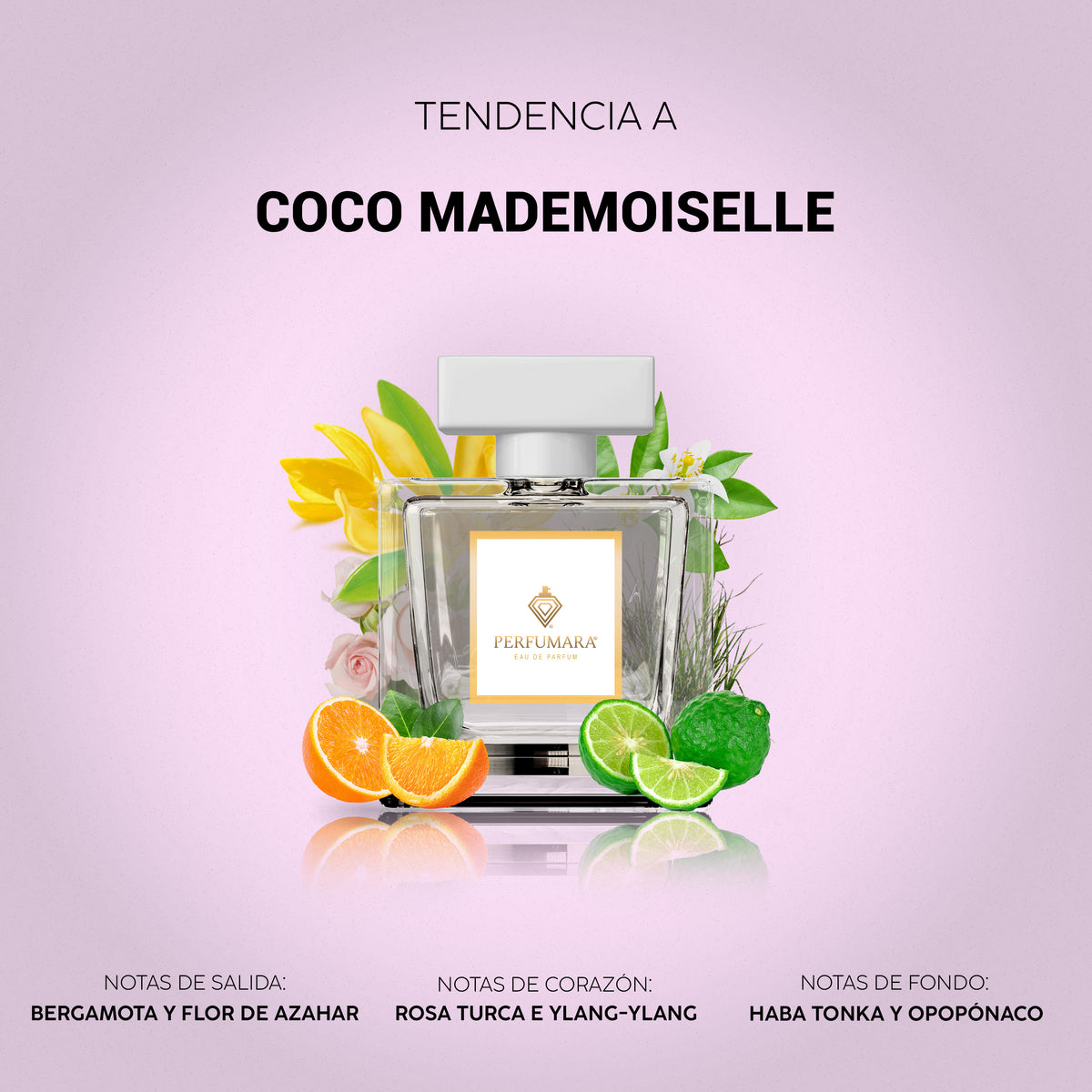 Tendencia a Coco Mademoiselle Intense