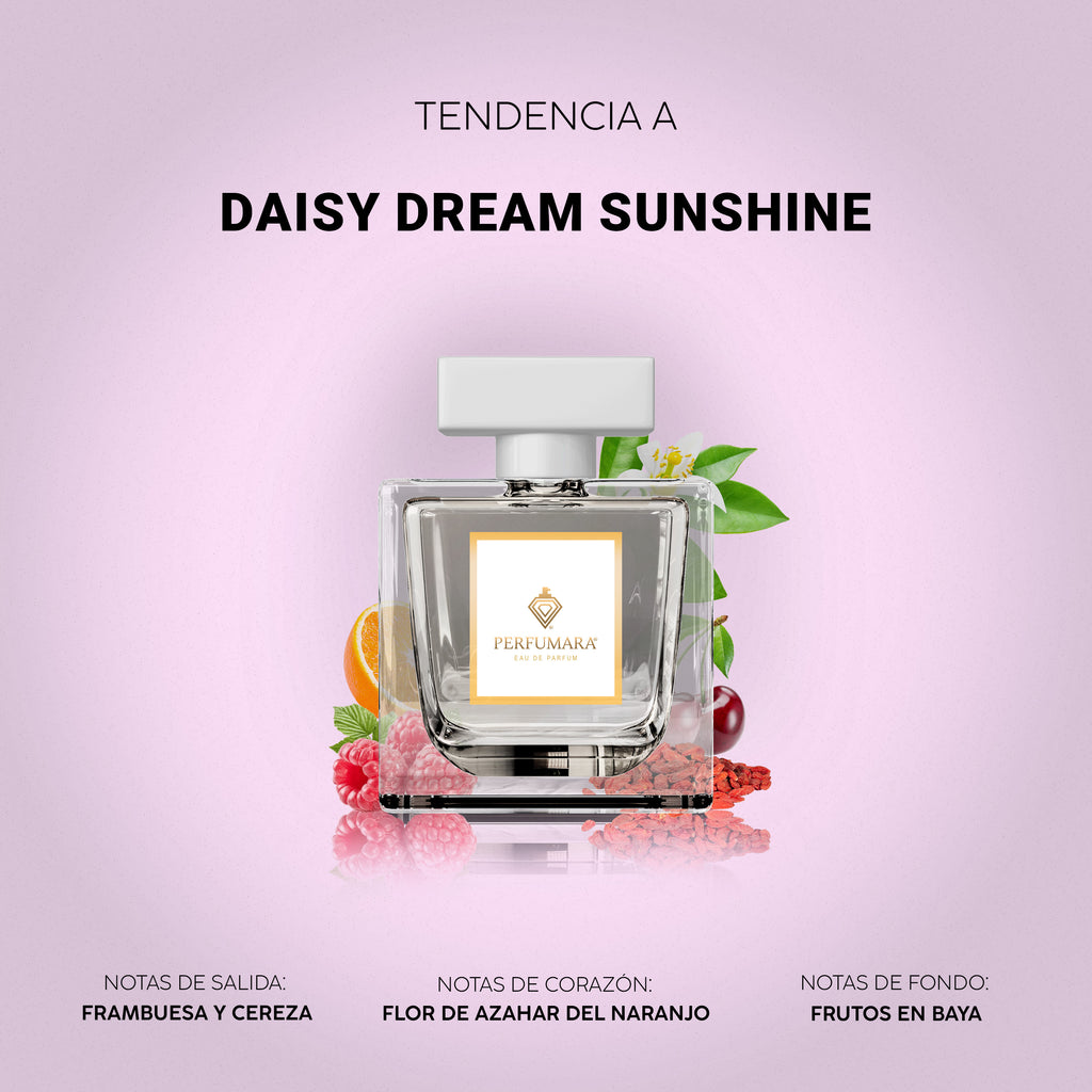 Tendencia a Daisy Dream Sunshine