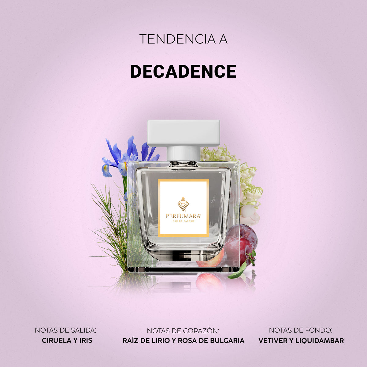 Tendencia a Decadence