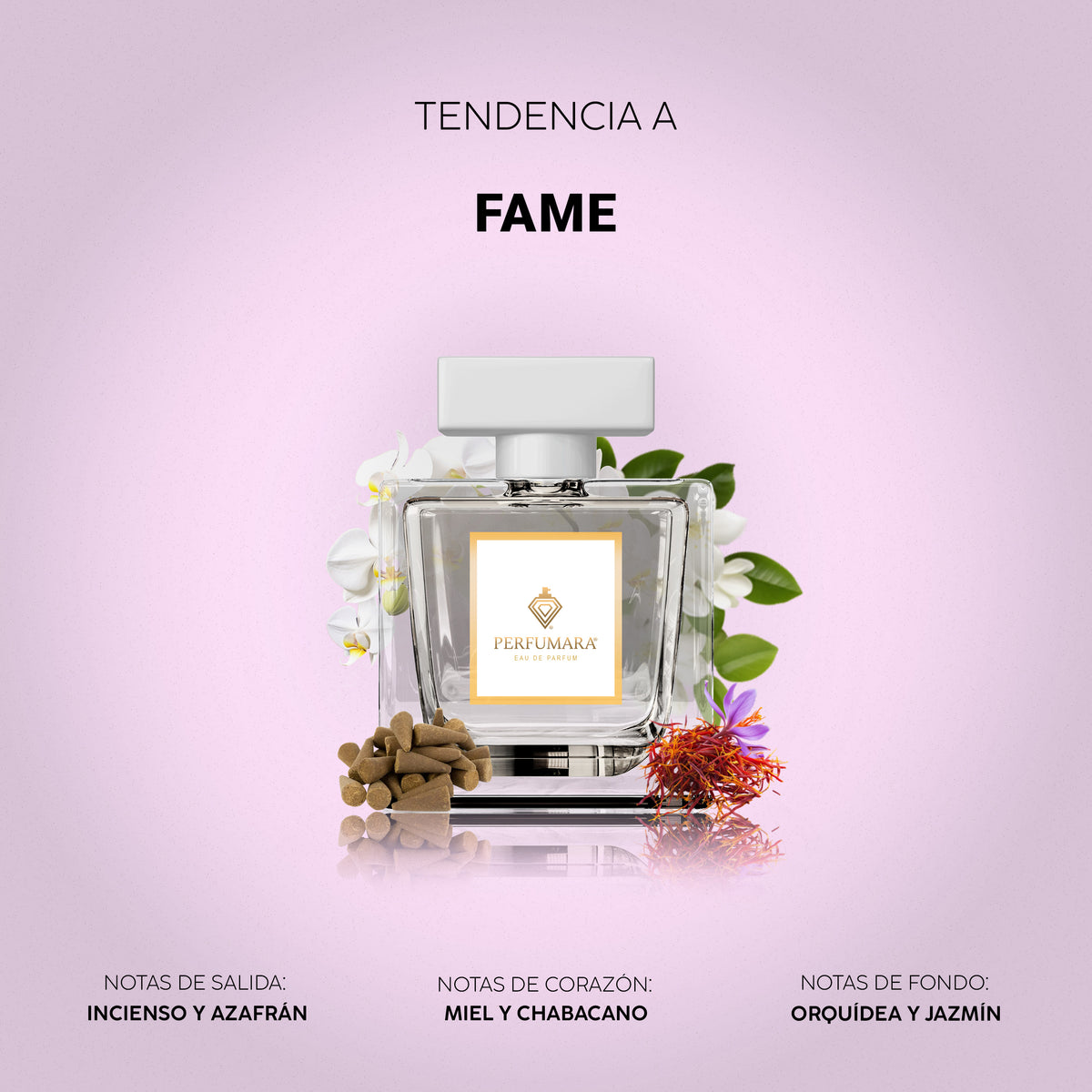 Tendencia a Fame Lady Gaga