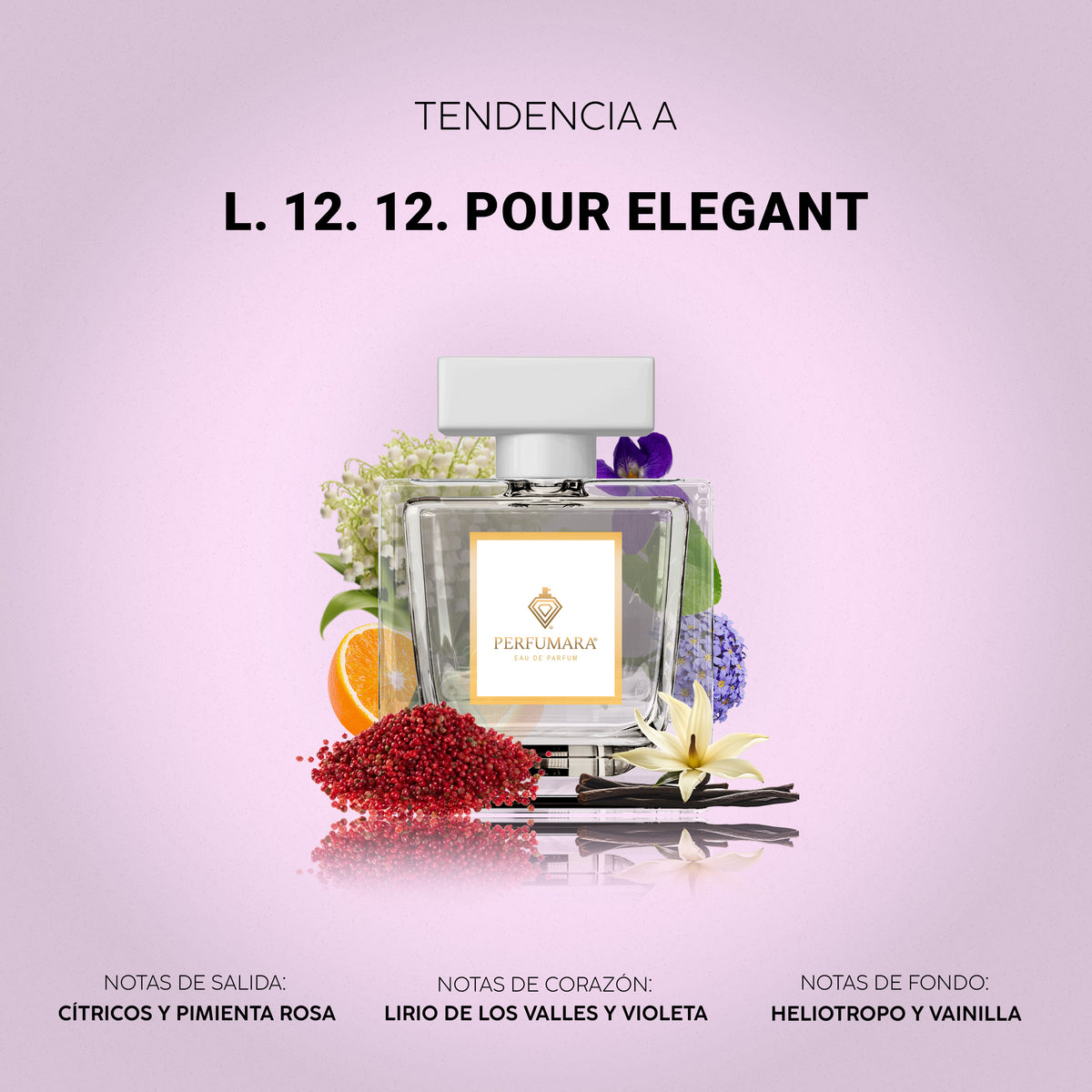 Tendencia a L.12.12 Elegant