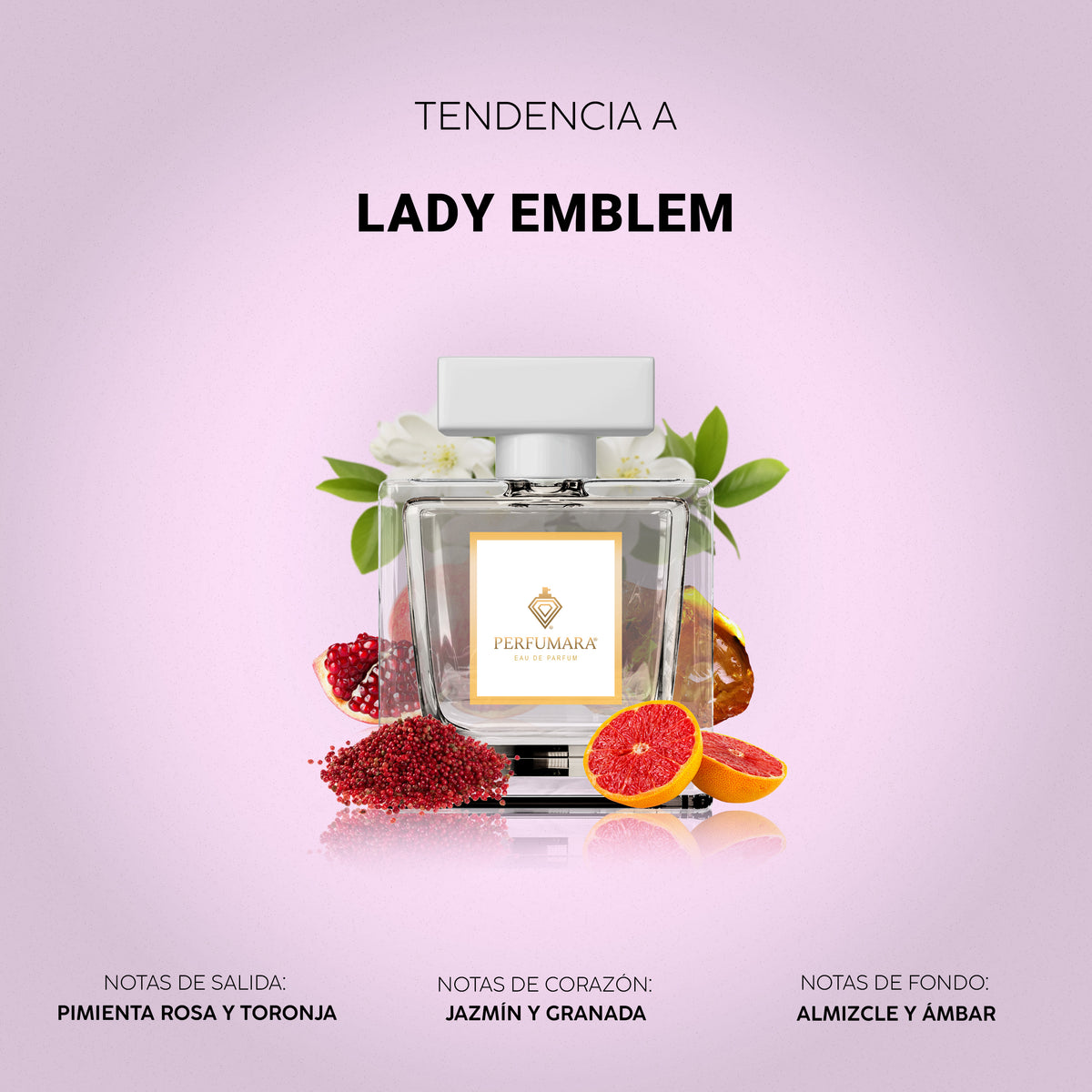 Tendencia a Lady Emblem