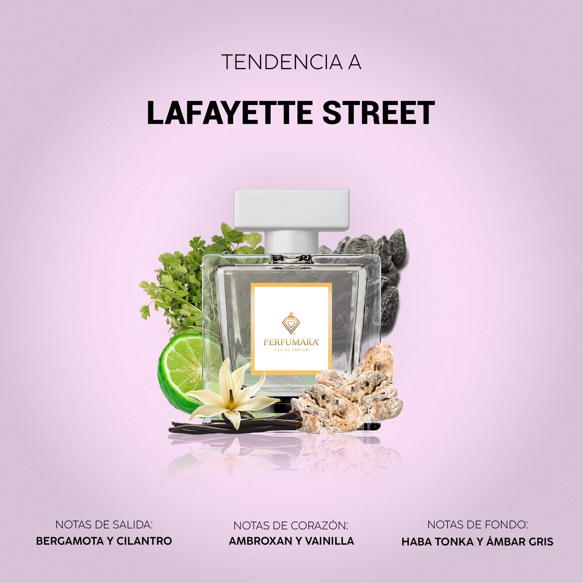 Tendencia a Lafayette Street