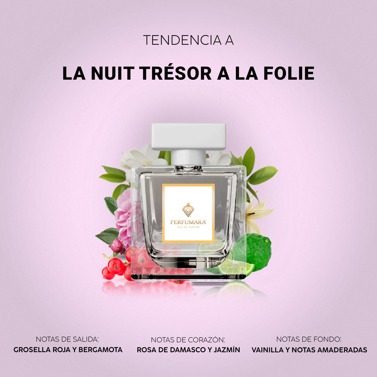 Tendencia a La Nuit Trésor à la Folie