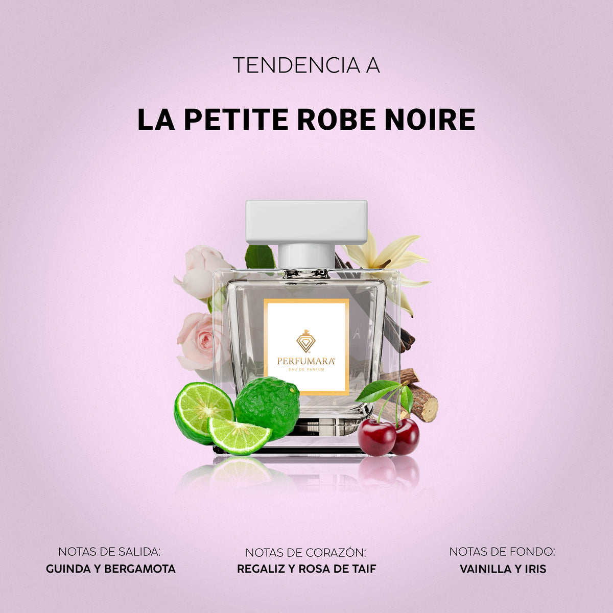 Tendencia a La Petite Robe Noire