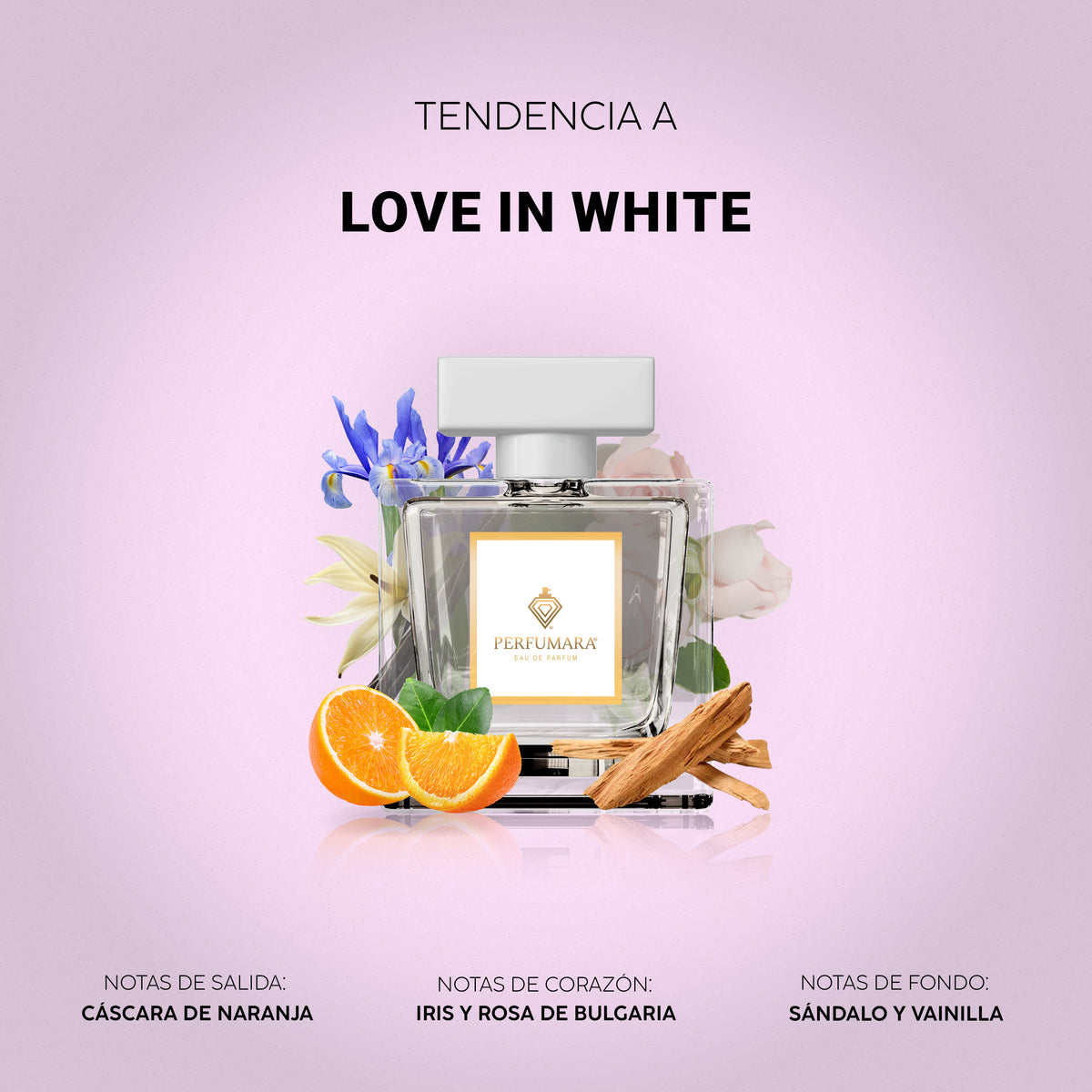 Tendencia a Love in White