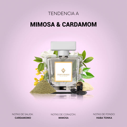 Tendencia a UMimosa & Cardamom