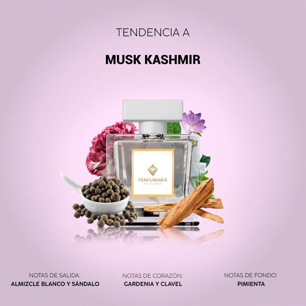 Tendencia a UMusk Kashmir