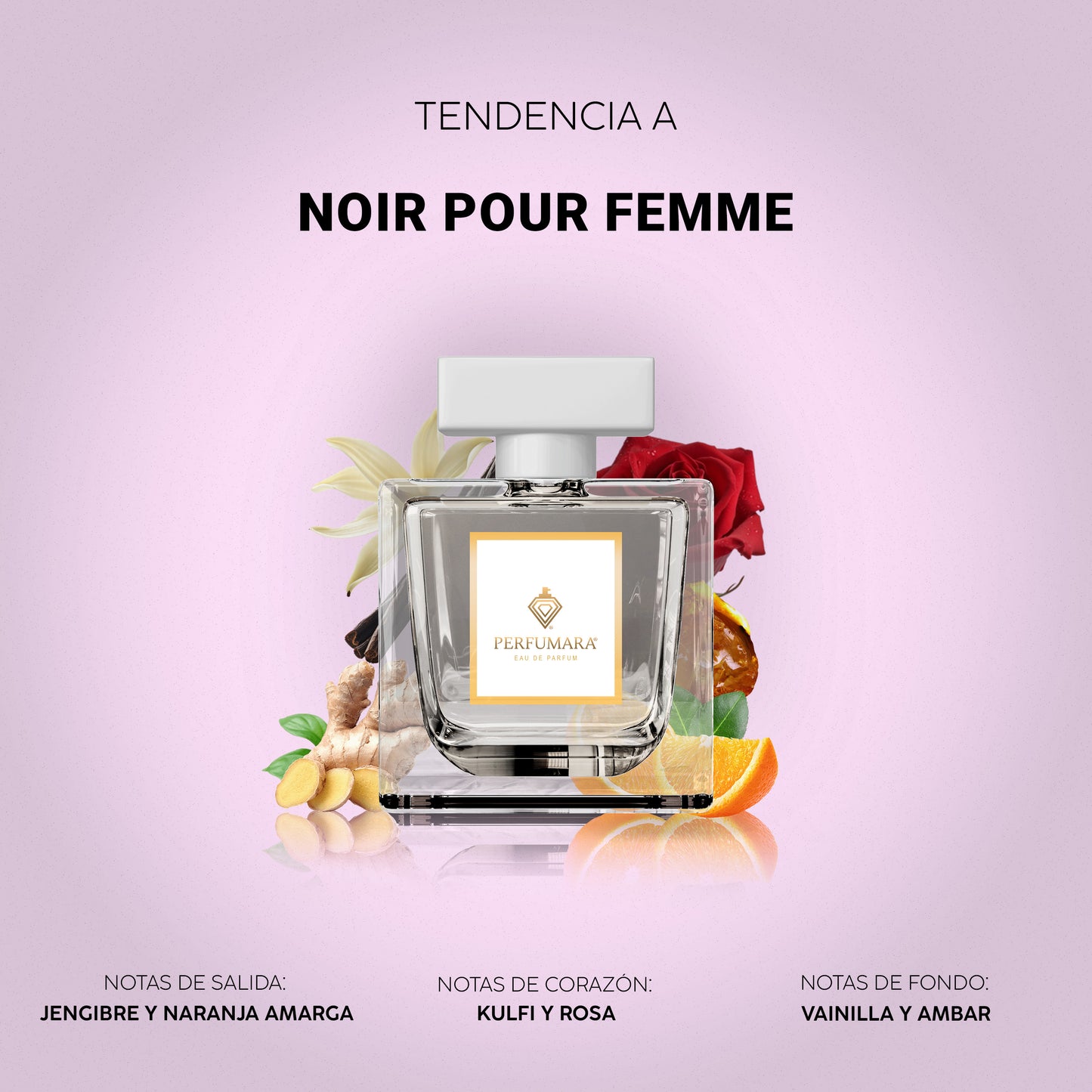 Tendencia a DNoir Pour Femme