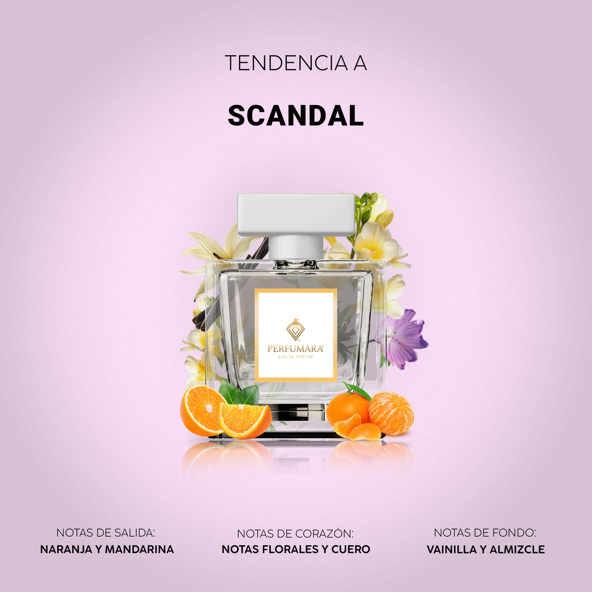 Tendencia a Scandal Dama