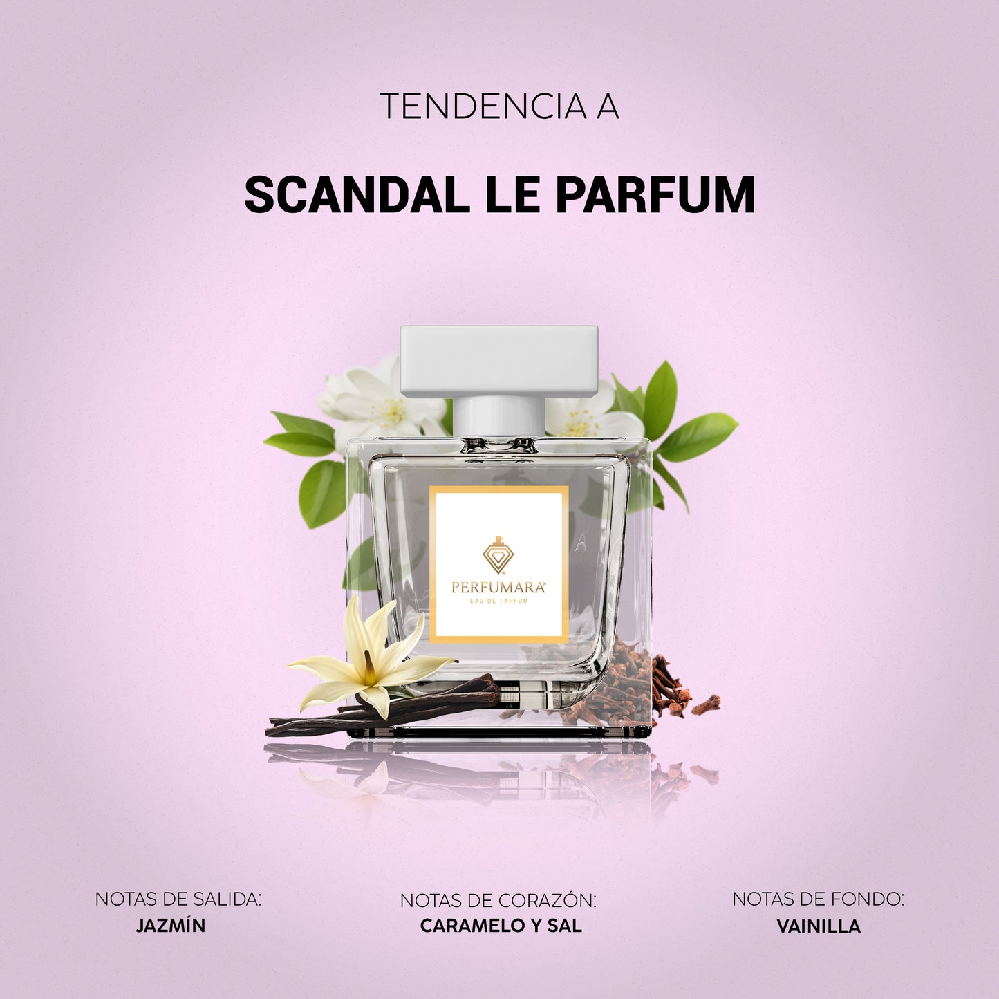 Tendencia a DScandal Le Parfum