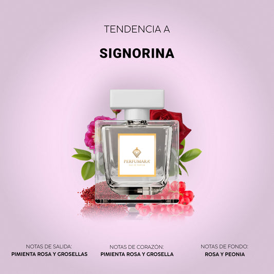 Tendencia a DSignorina