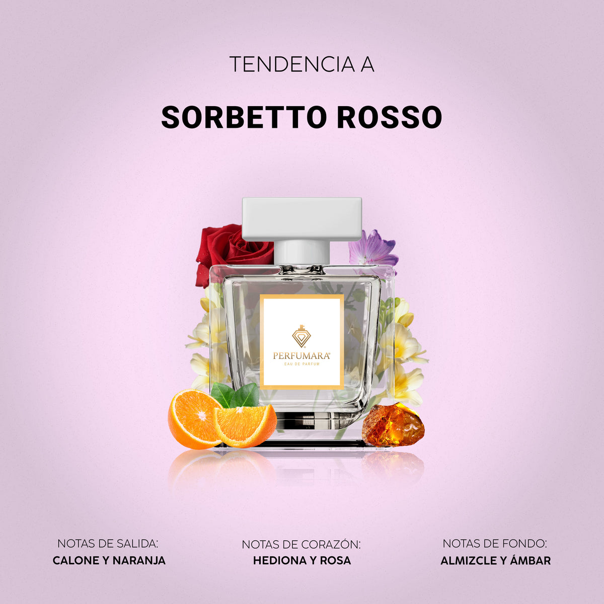 Tendencia a Sorbetto Rosso