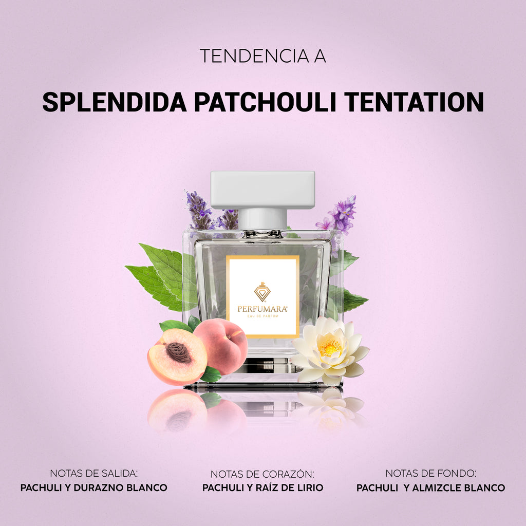 Tendencia a DSplendida Patchouli Tentation