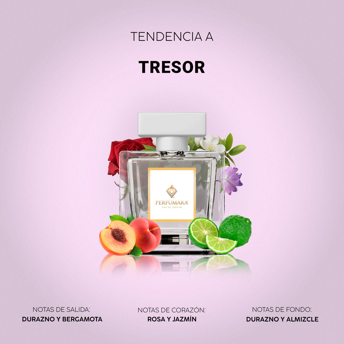 Tendencia a Tresor