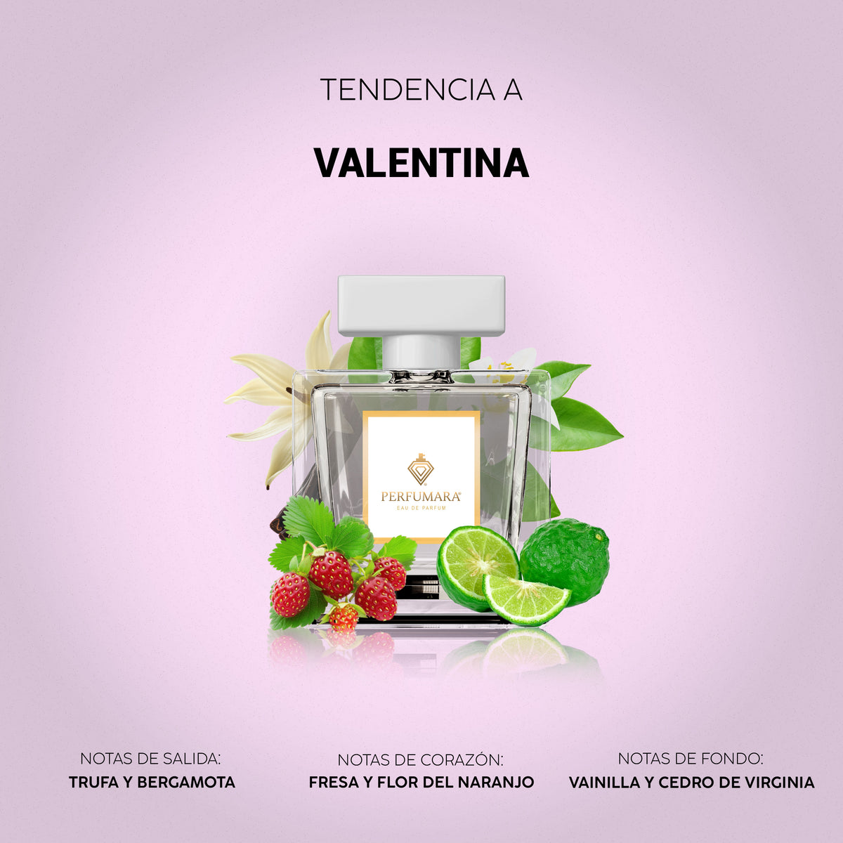 Tendencia a Valentina