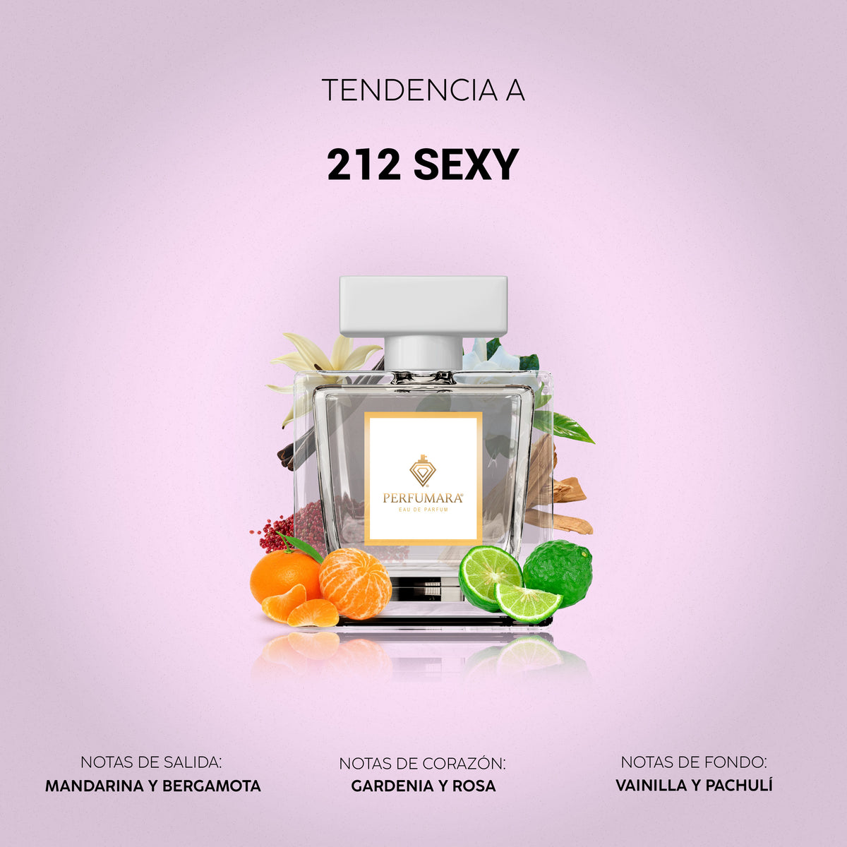 Tendencia a 212 Sexy