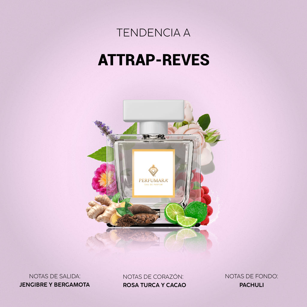 Tendencia a DAttrape-Rêves