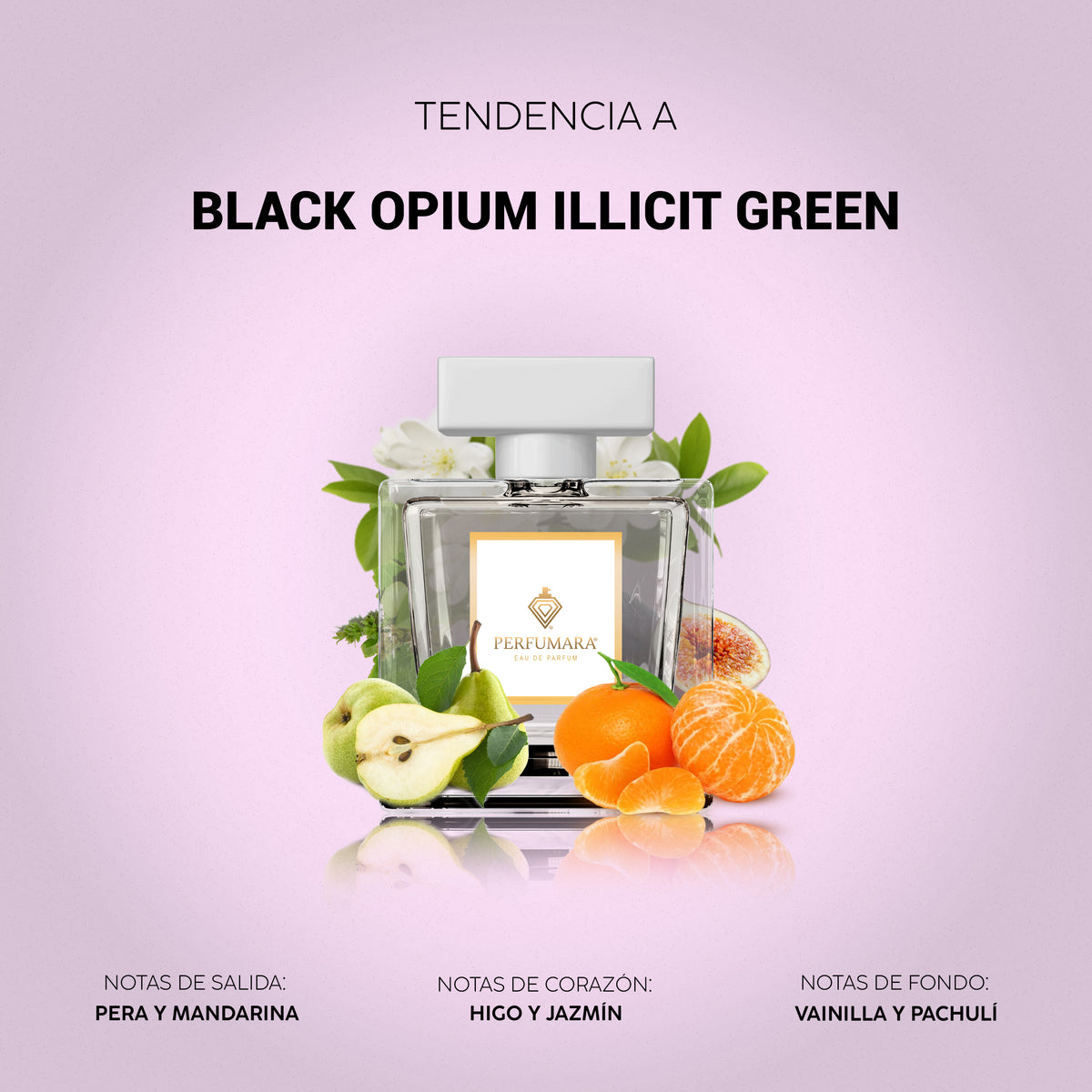 Tendencia a Black Opium Illicit Green