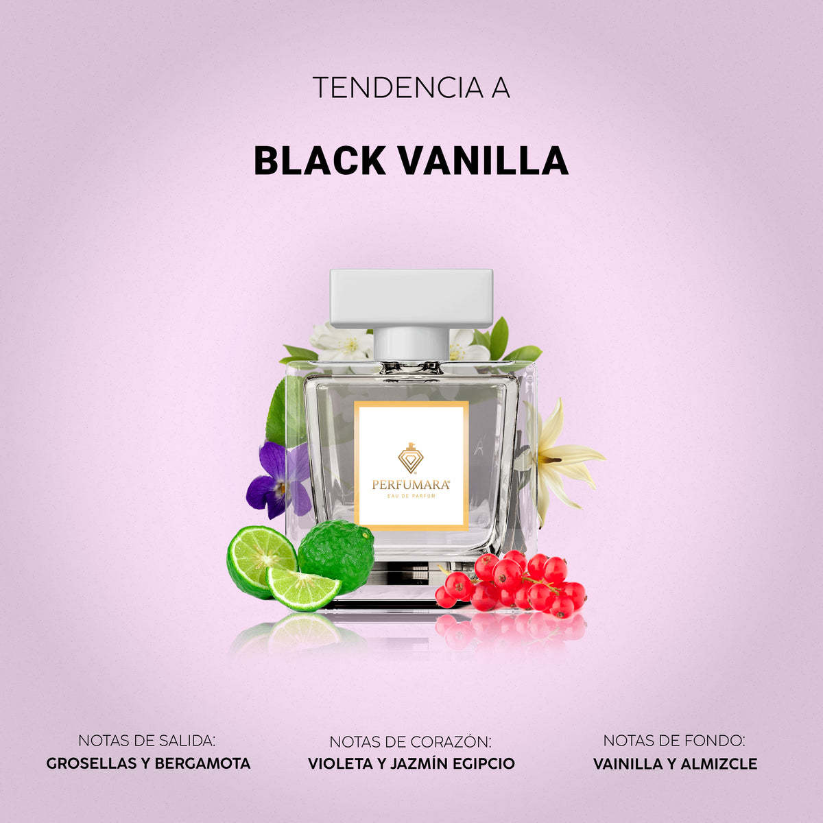 Tendencia a Black Vanilla