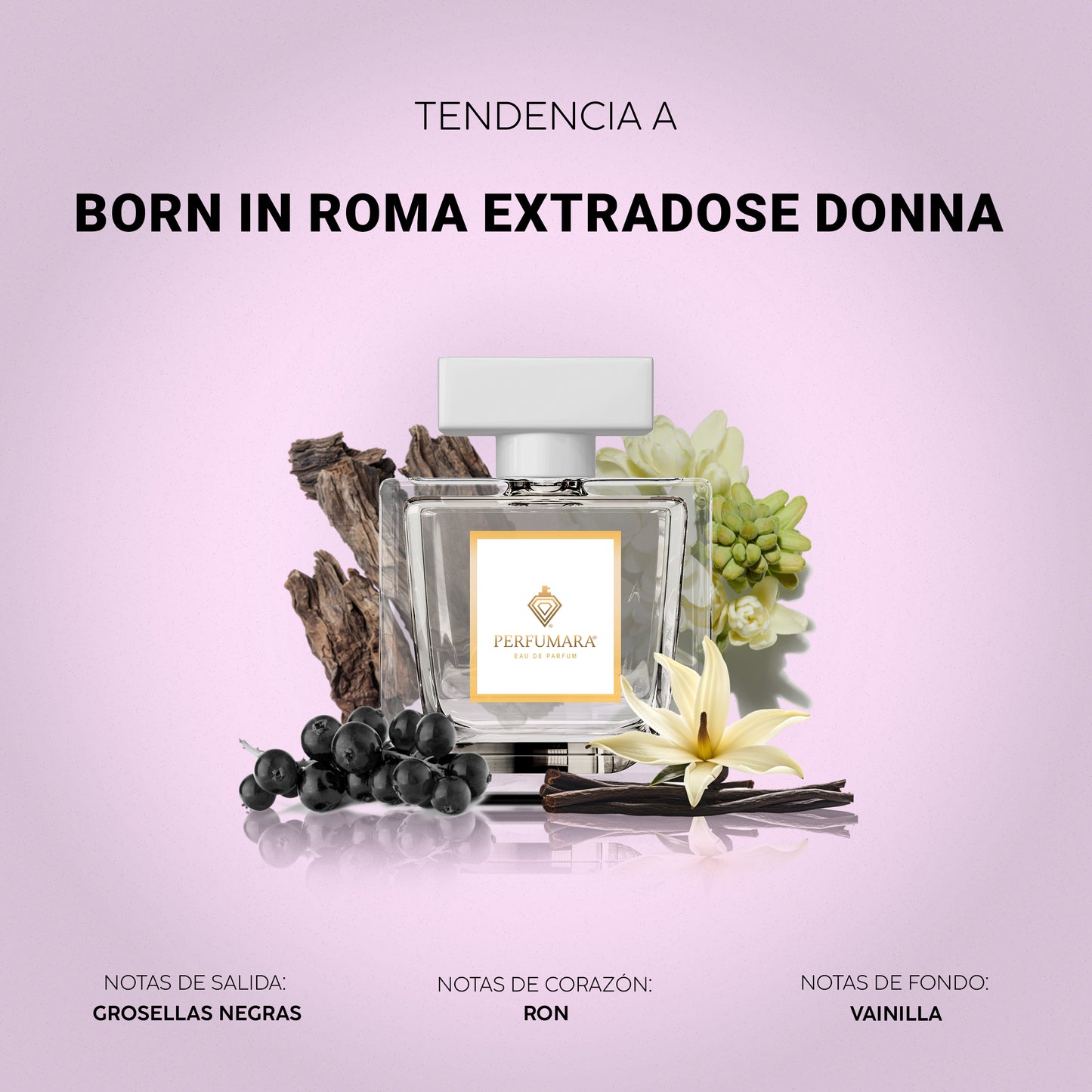 Tendencia a DBorn Roma Extradose Donna