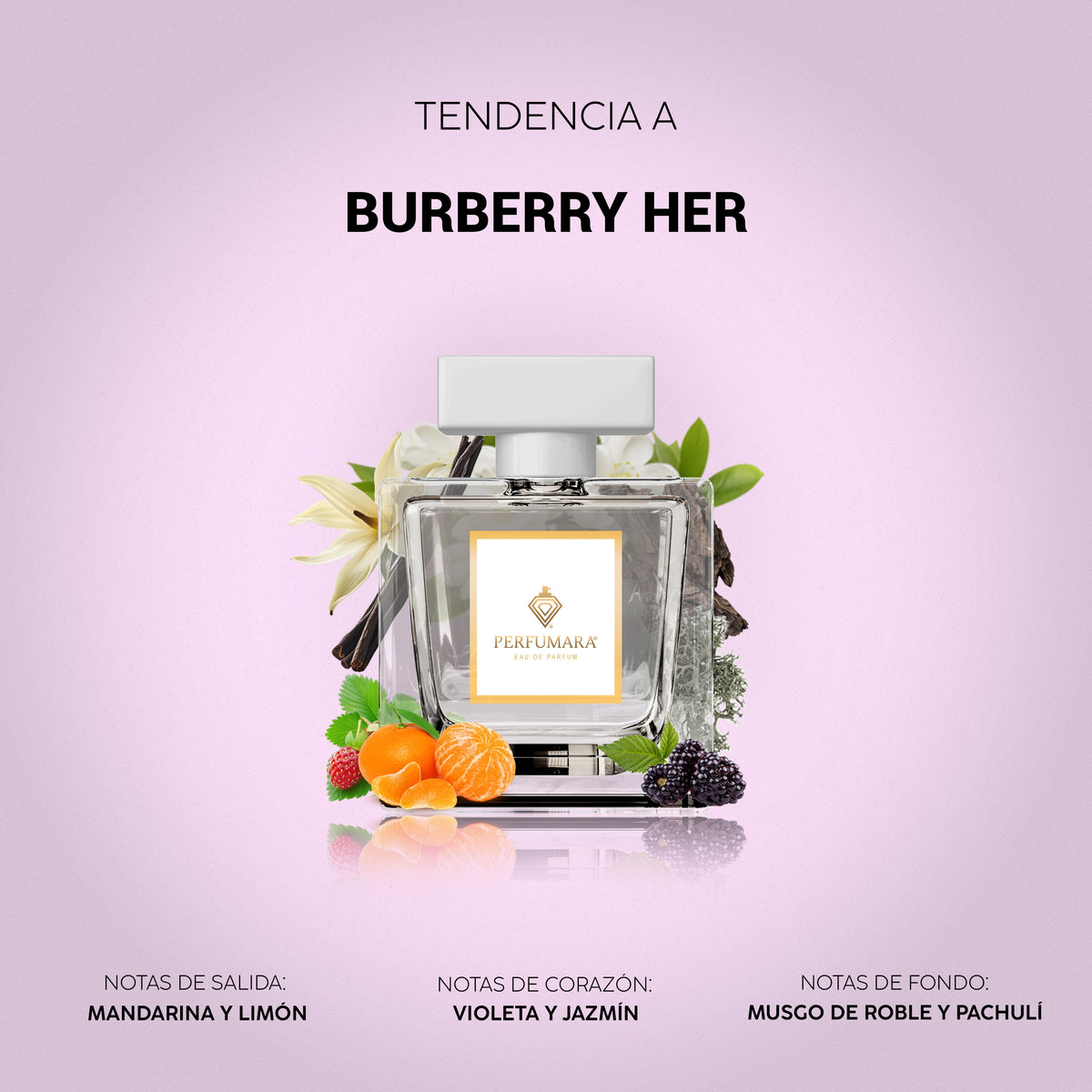 Tendencia a Burberry Her