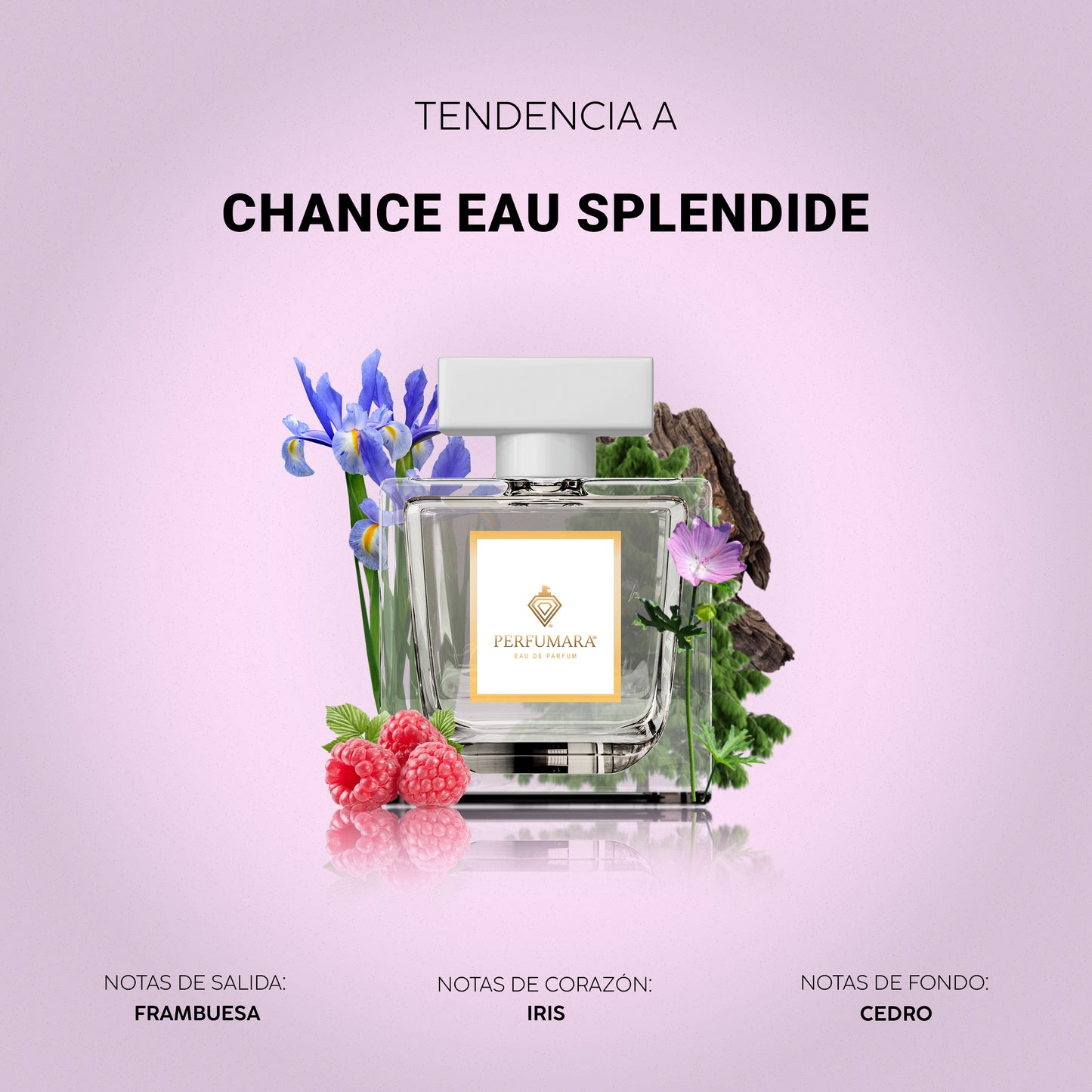 Tendencia a DChance Eau Splendide