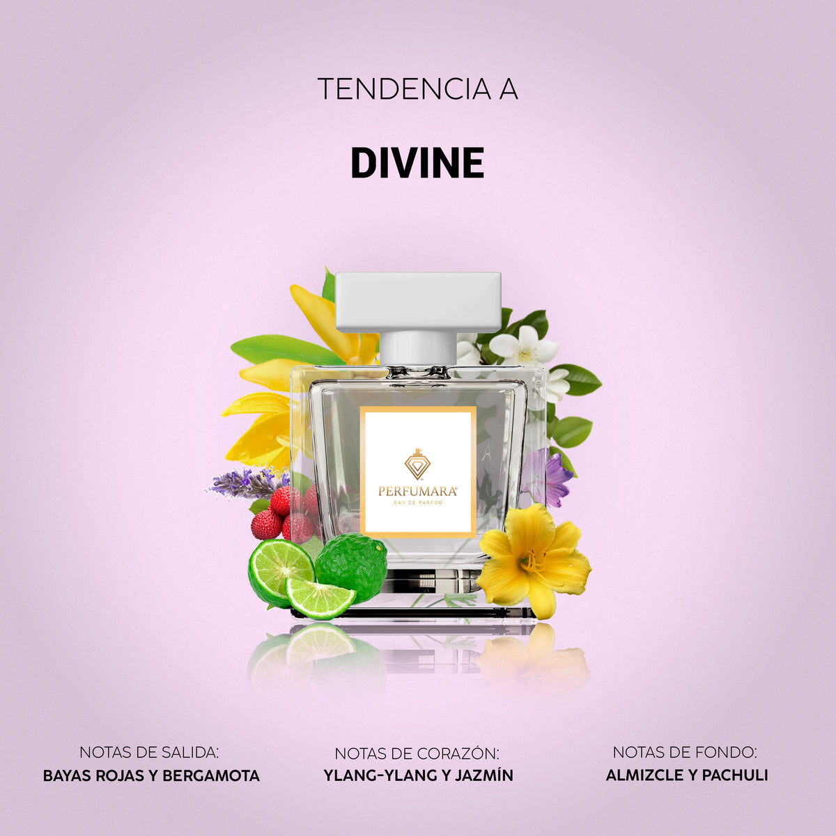 Tendencia a Divine