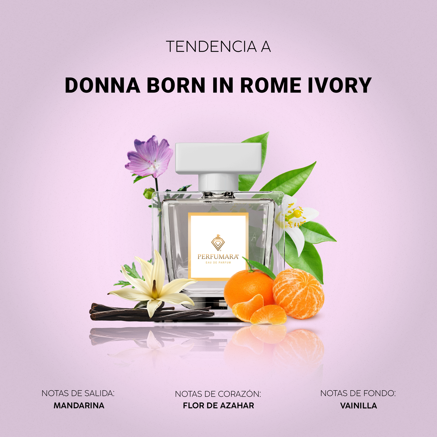 Tendencia a Born In Rome
