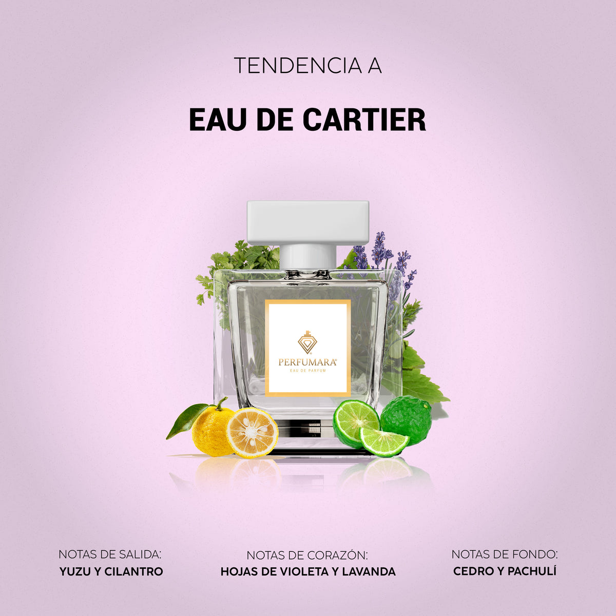 Tendencia a Eau de Cartier