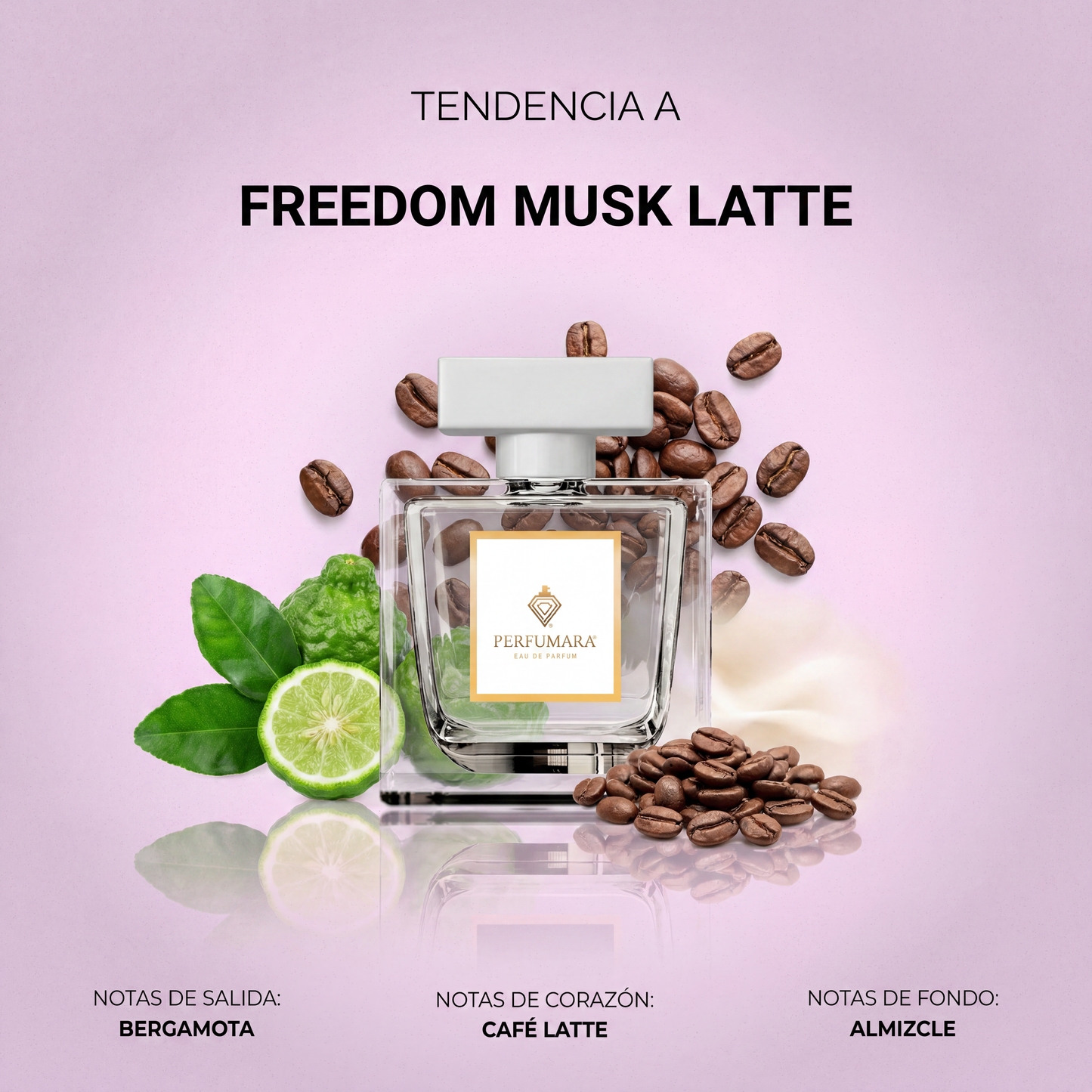 Tendencia a DFreedom Musk Latte