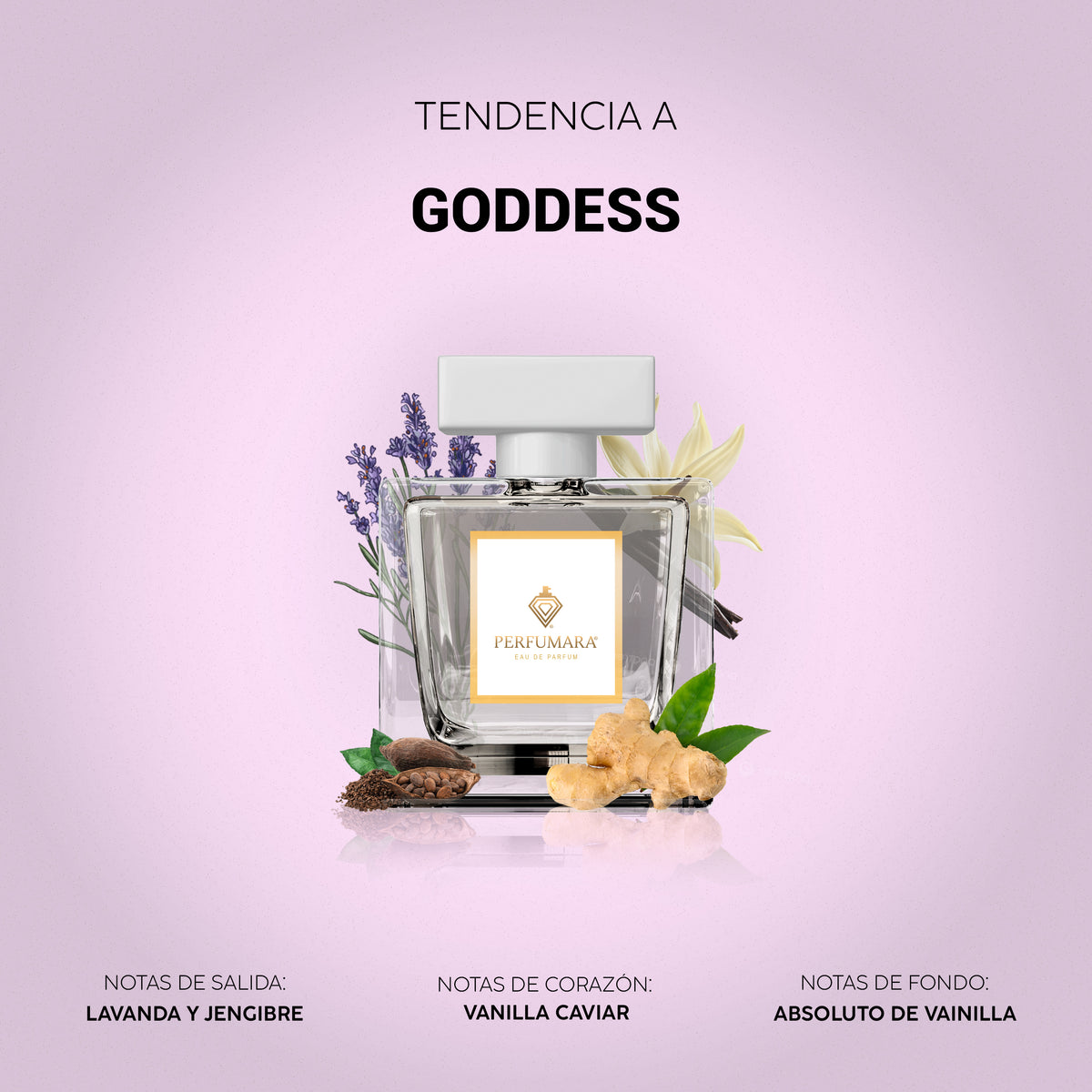Tendencia a Goddess