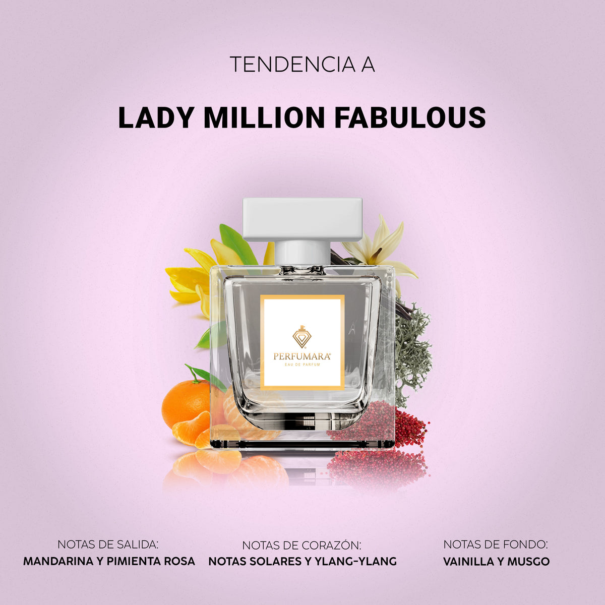 Tendencia a Lady Million Fabulous