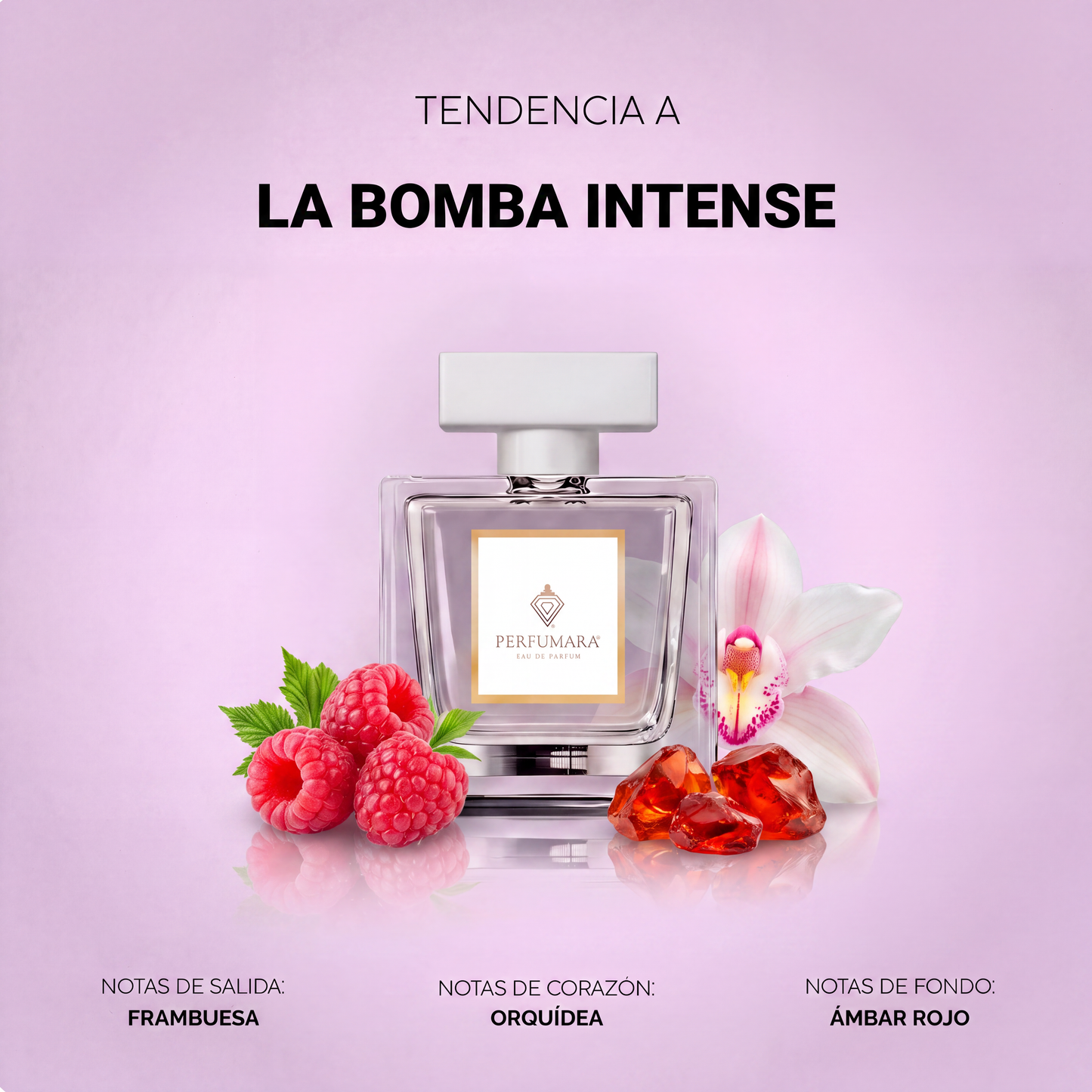 Tendencia a La Bomba Intense