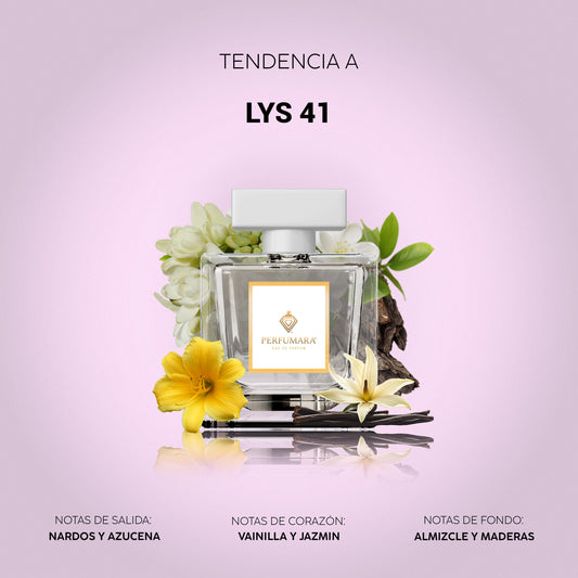 Tendencia a DLYS 41