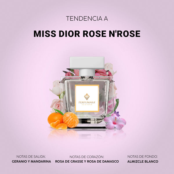 Tendencia a DMiss Dior Rose N'Roses