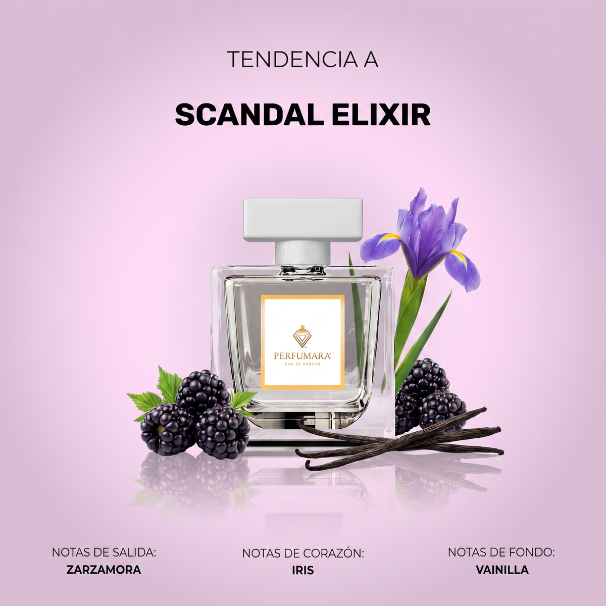 Tendencia a Scandal Elixir
