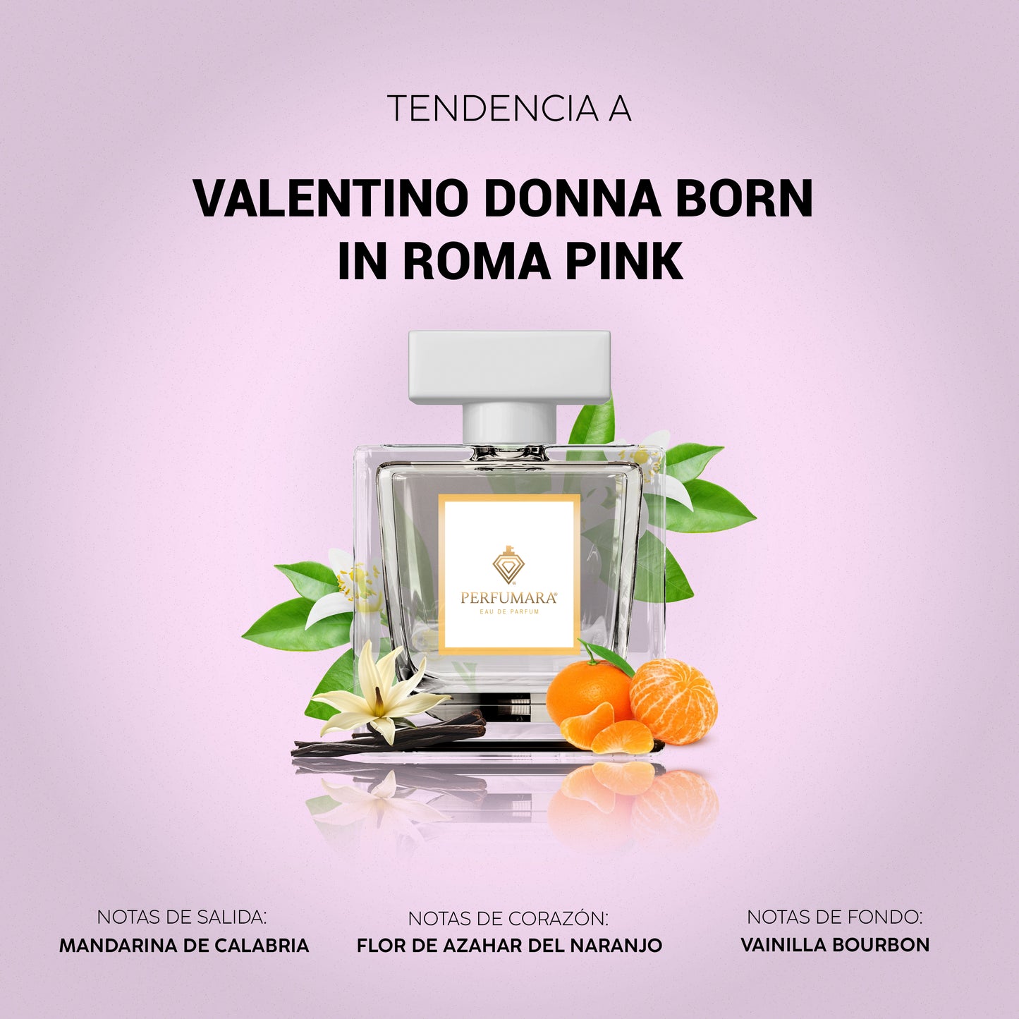 Tendencia a DValentino Donna Born In Roma Pink