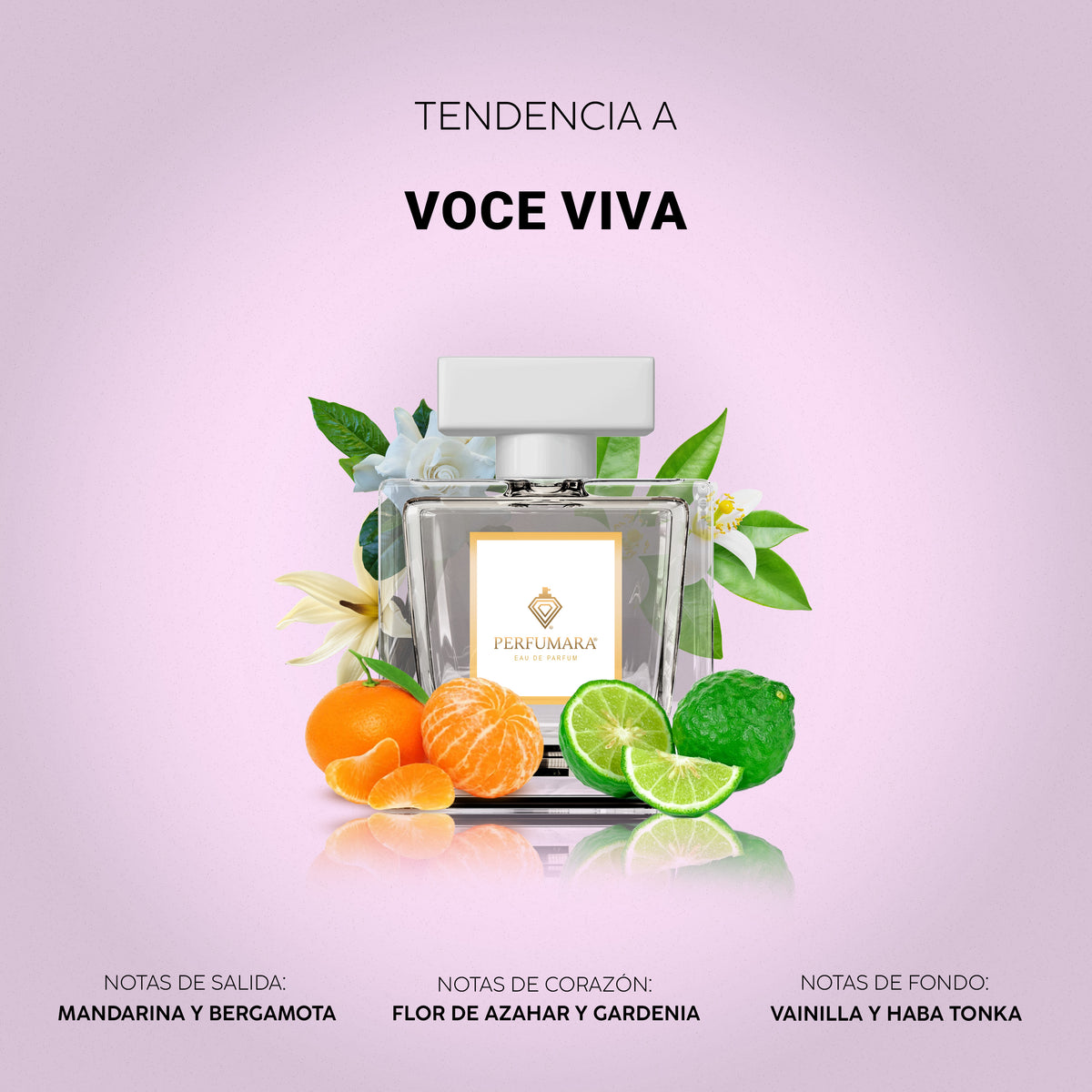 Tendencia a Voce Viva