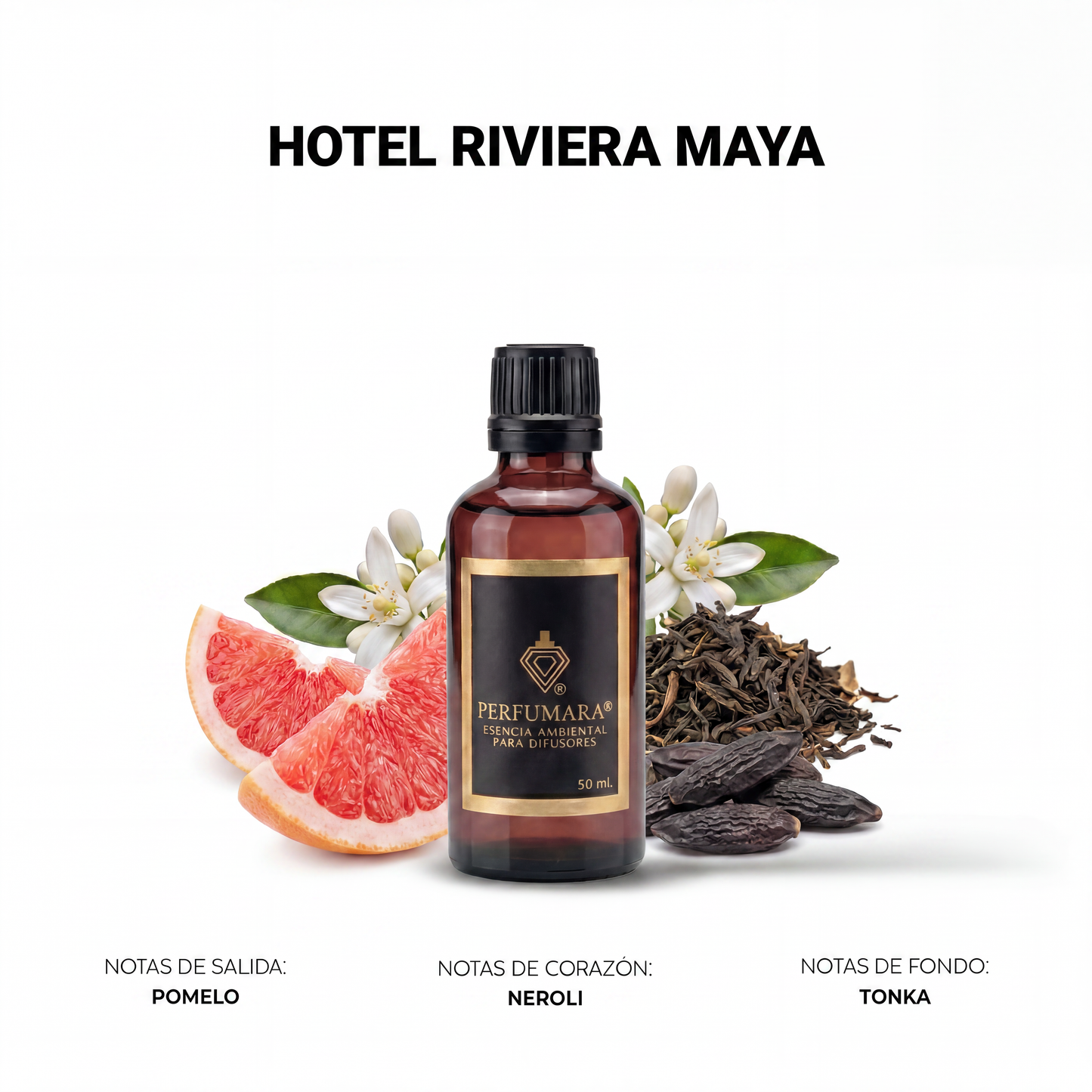 Hotel Riviera Maya