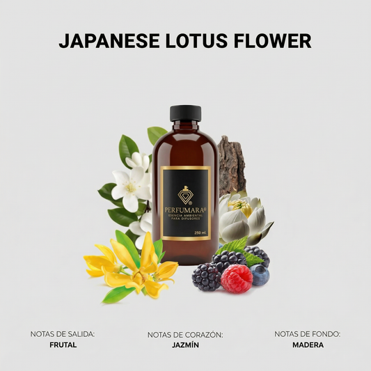 Japanese Lotus Flower ( satisfacción total)