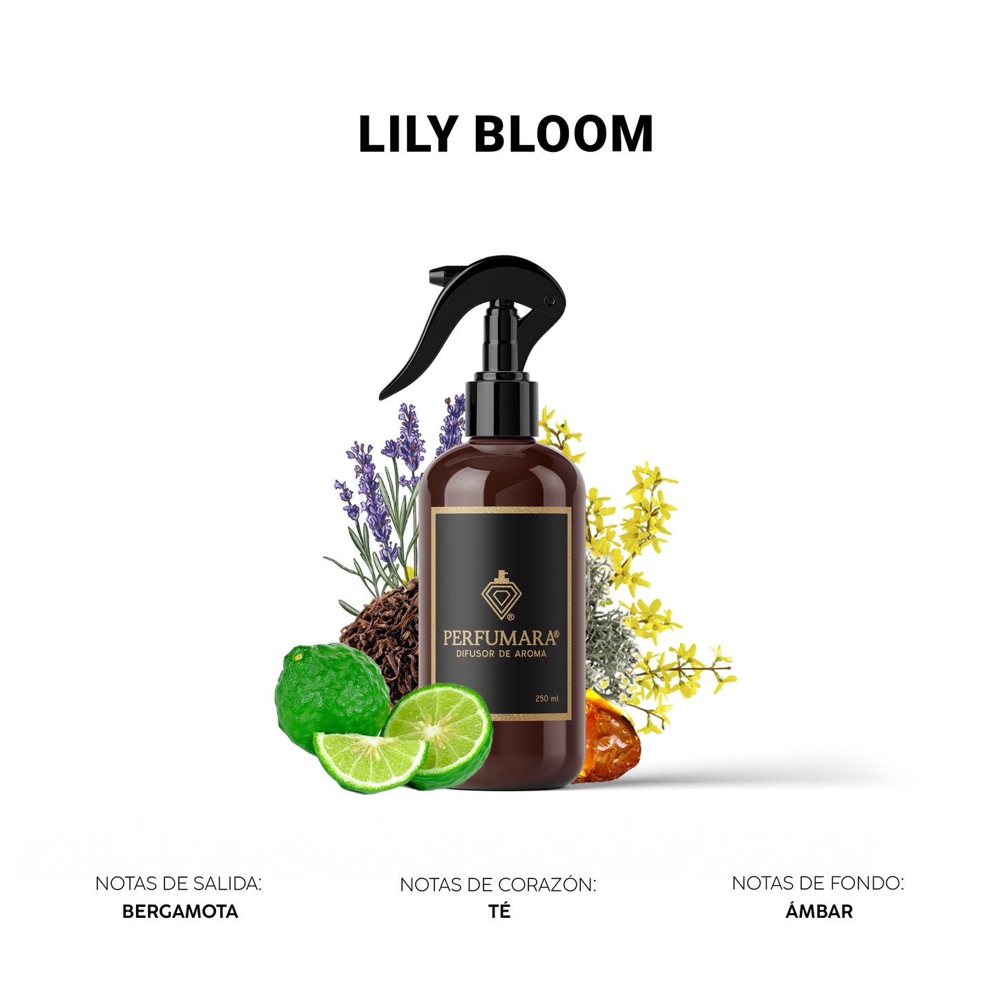 Lily Bloom ( Versátil)