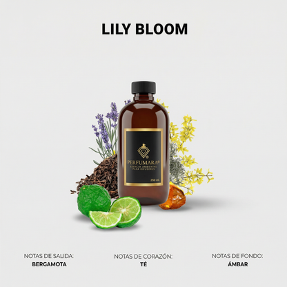 Lily Bloom (Frescura Floral)