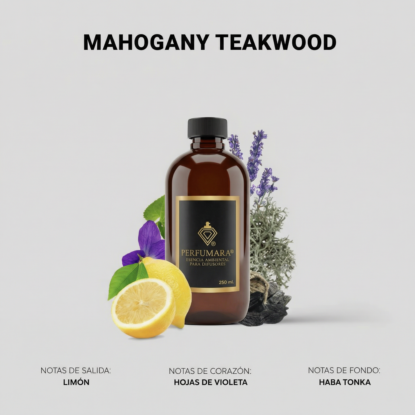 Mahogany Teakwood (Inspirado en tienda de ropa famosa)