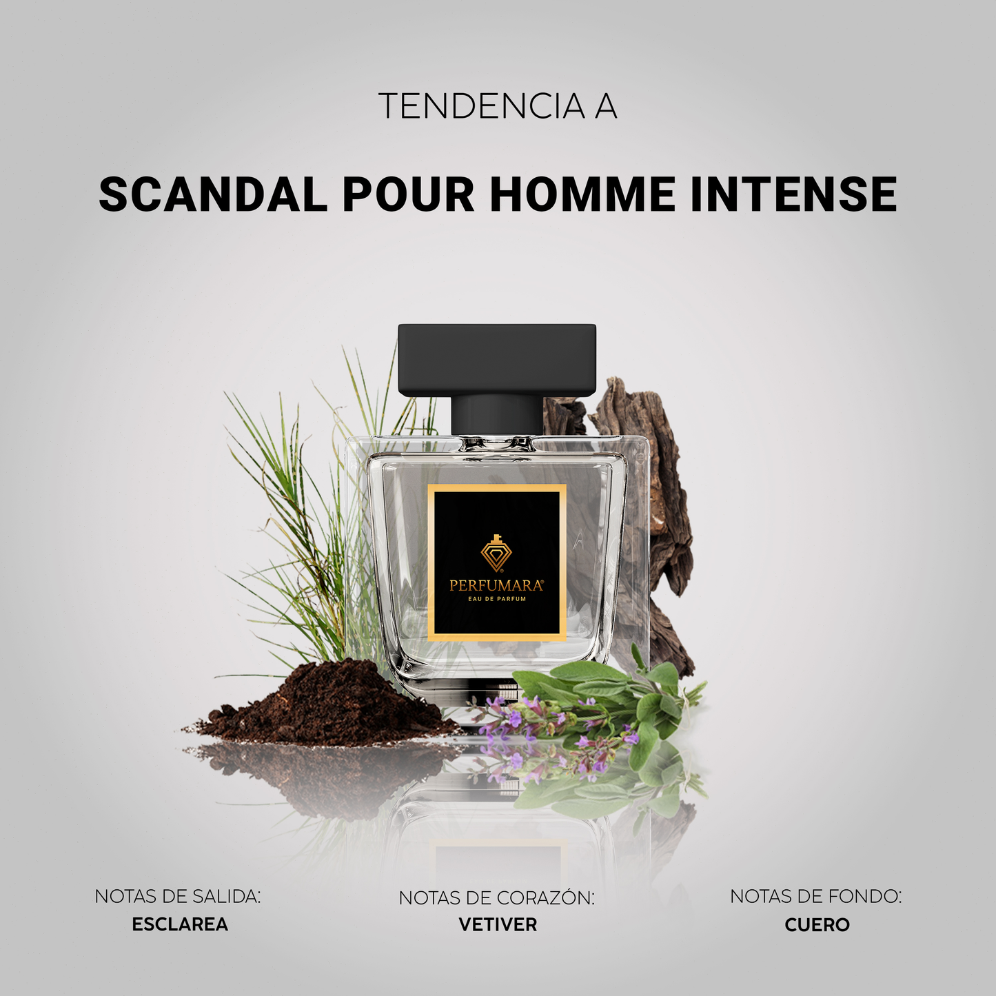 Tendencia a CScandal Pour Homme intense