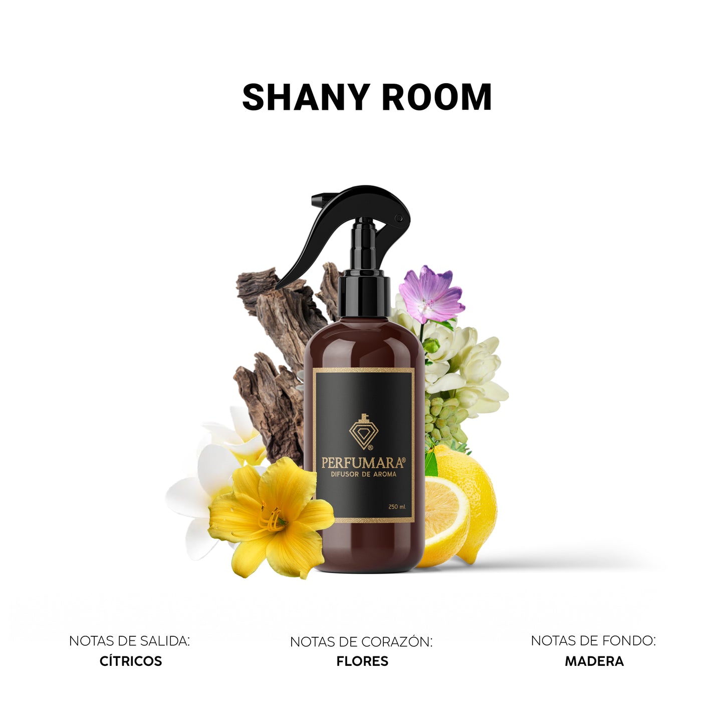 Shany Room ( Tienda infantil)