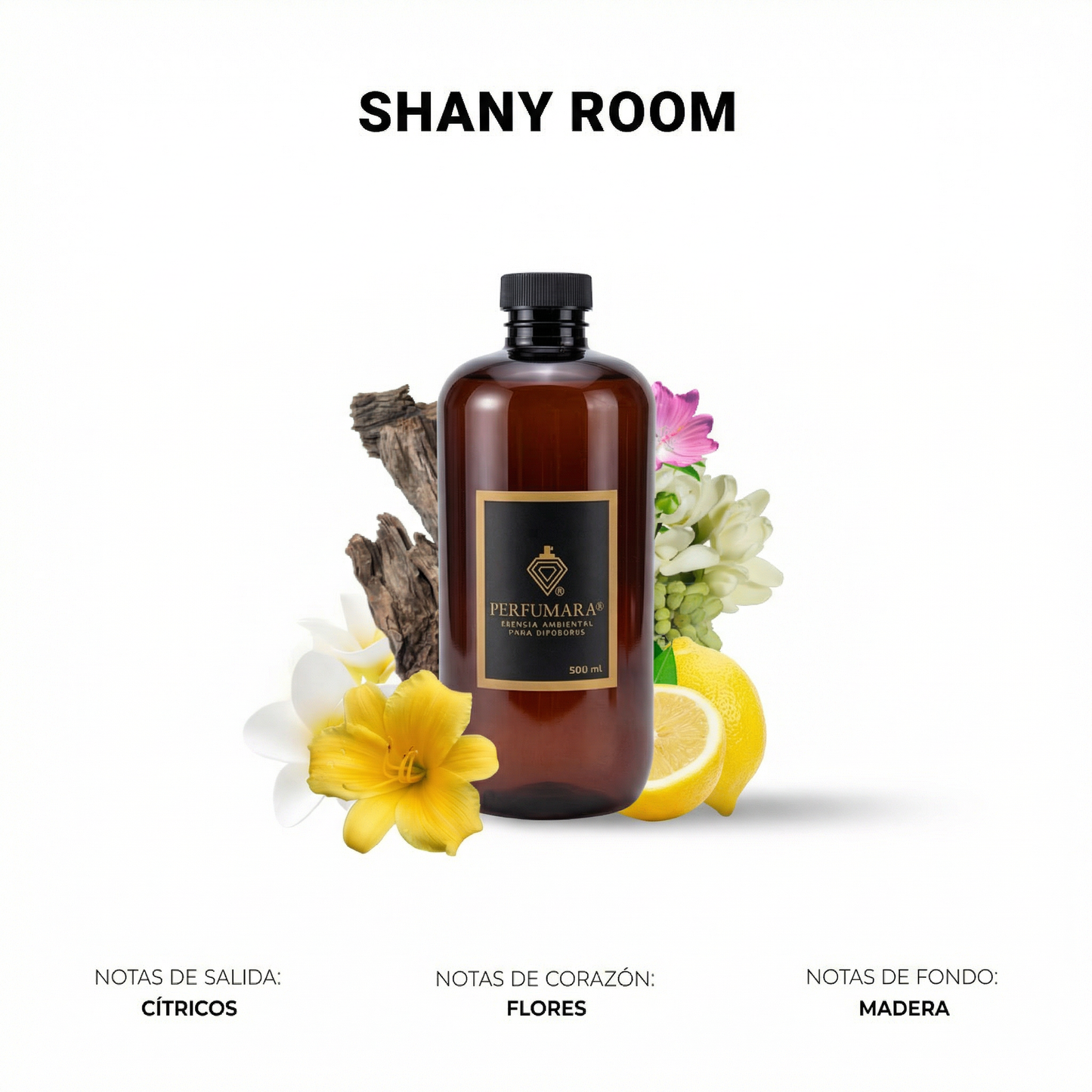 Shany Room