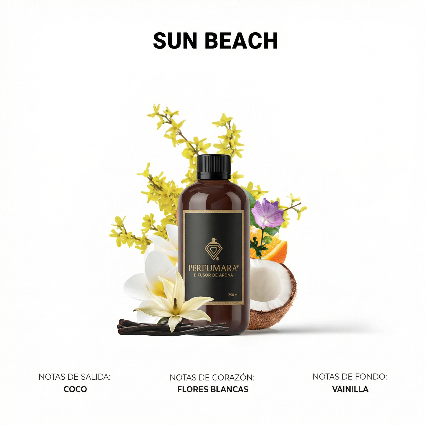 Sun Beach (La Playa en mi casa)