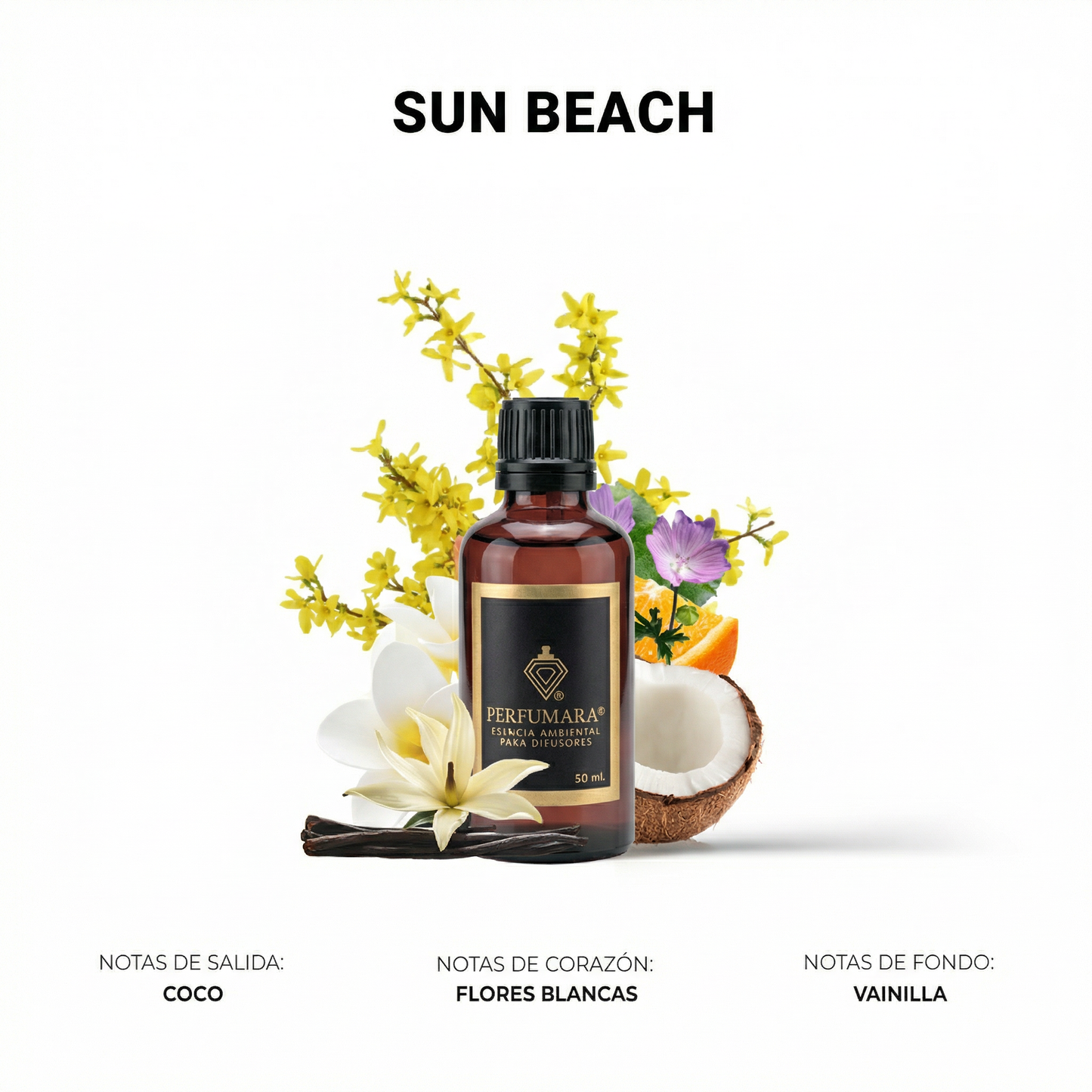 Sun Beach "La playita en mi casa "